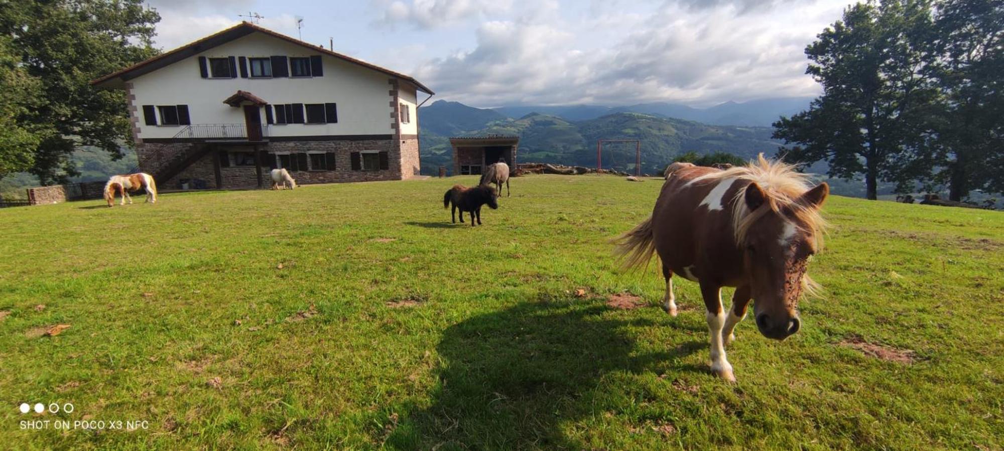 Autxikoborda Vendégház Elbete Kültér fotó